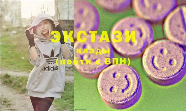 амф Гусь-Хрустальный