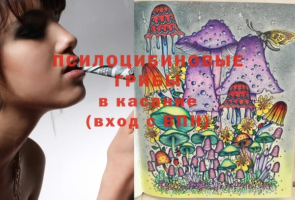 jwh Гусиноозёрск