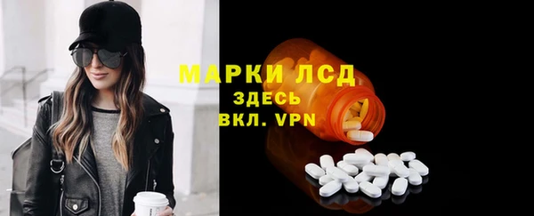 амф Гусь-Хрустальный