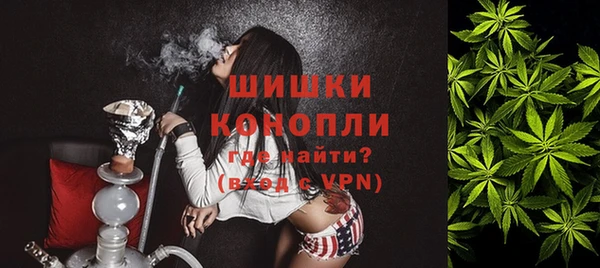 амф Гусь-Хрустальный