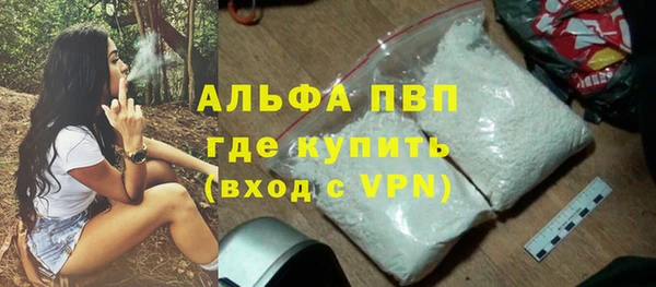 амф Гусь-Хрустальный