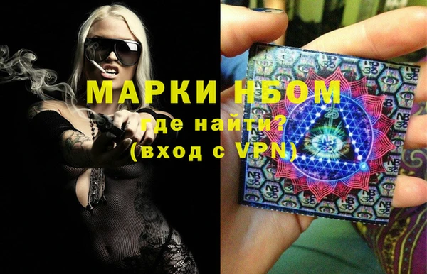 амф Гусь-Хрустальный
