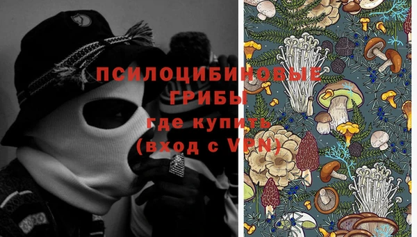 амф Гусь-Хрустальный