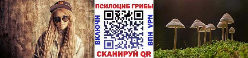 Псилоцибиновые грибы прущие грибы Терек