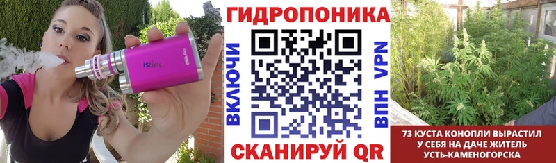 Каннабис Bruce Banner  Купить закладки  Терек 